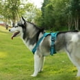 thumbnail image 5 of Voyager Dog Harness Dual Leash Attachment No-Pull Control Adjustable Soft, Strong Pet Harness for Medium & Large Dogs w/ 3M Reflective Technology w/ Leash Included - Turquoise, XL (Chest 22-27"), 5 of 8