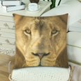 thumbnail image 3 of MKHERT King Of Beasts Male Lion Pillowcase Pillow Protector Cushion Cover 18x18 inch,Set of 2, 3 of 3