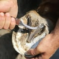 thumbnail image 7 of JOWNEEL Left and Right Handed Hoof Knives with Wooden Handle 2Pack Farrier Hoof Trimming Knife Set of Horses Cow Donkey, 7 of 7