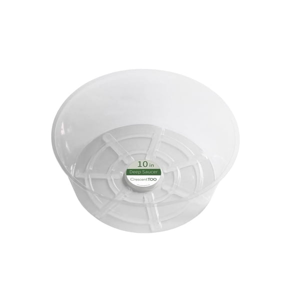 Platillo transparente para plantas de 10 pulgadas