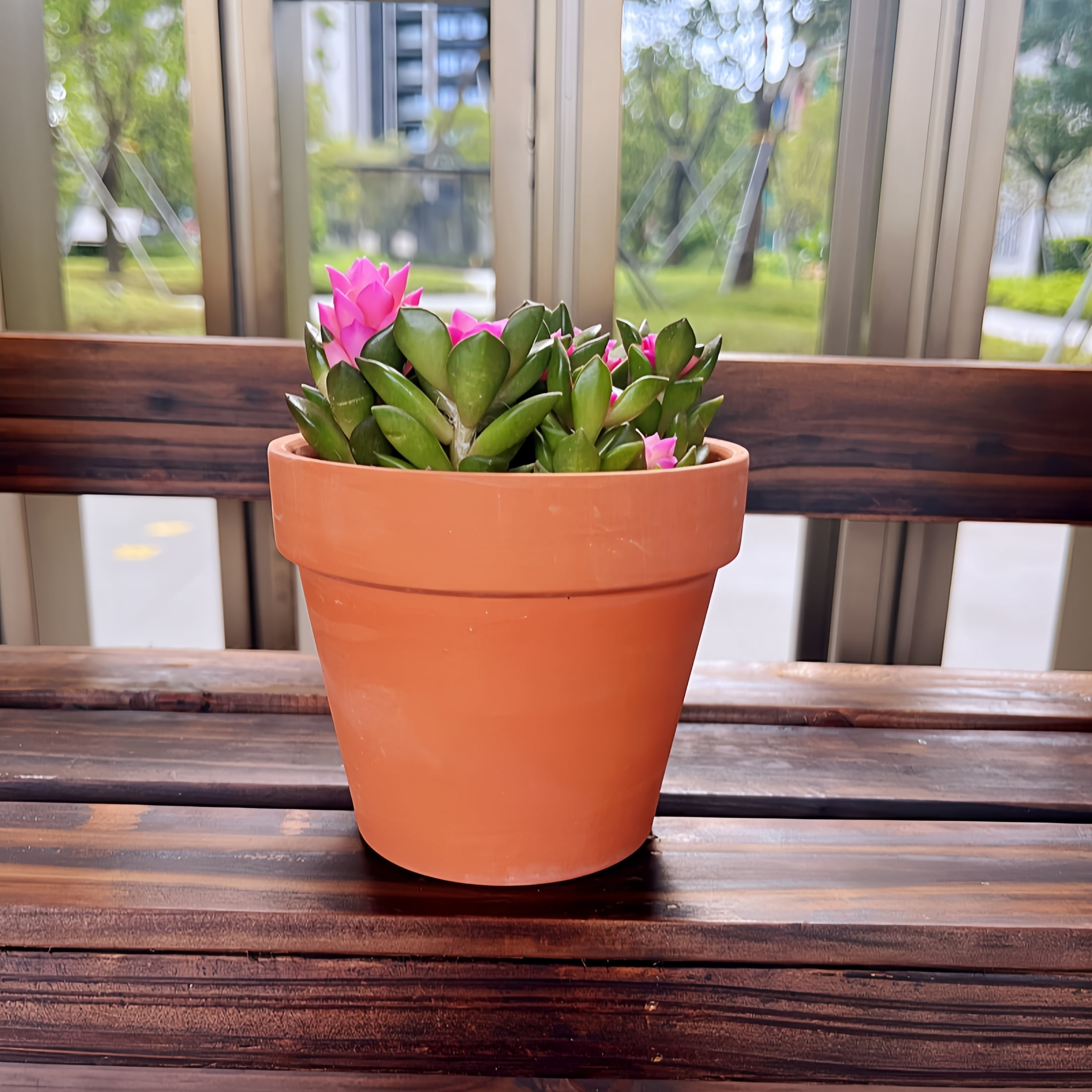 Round Terracotta Ceramic Succulent Planters with Drainage Holes, Polished Finish, 9 Count 3.5in