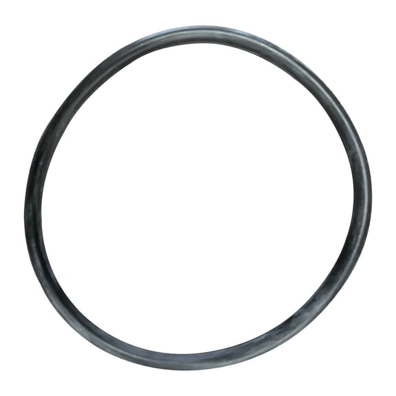 Generic Lid O-Ring for SwimQuip/Pentair Pool Pumps, O-14