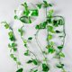 thumbnail image 4 of 100 clips autoadhesivos para plantas trepadoras, ideales para la pared del jardín y para decoración de jardines., 4 of 5
