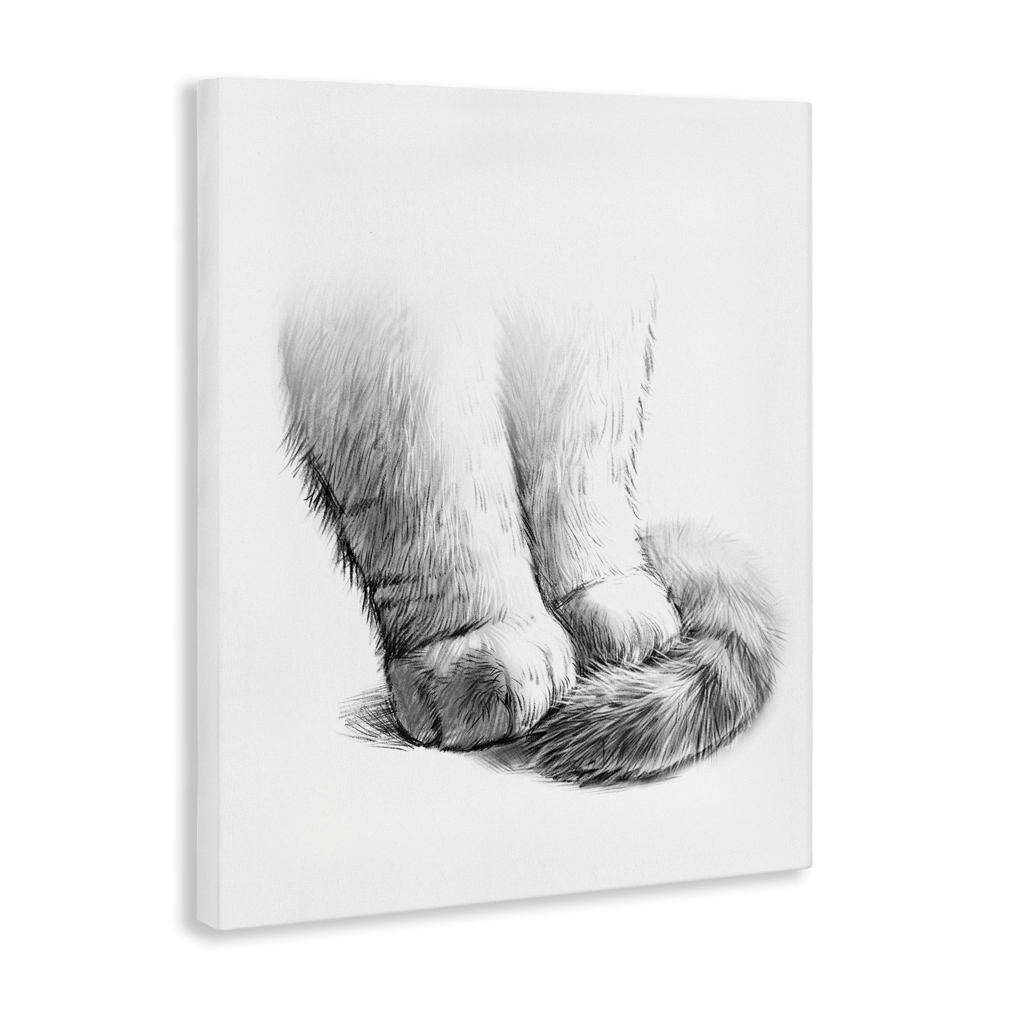 Stupell Industries Fluffy Cat Paws Tail Curled Monochrome Drawing Canvas Wall Art, 30 x 40, Design by Ziwei Li