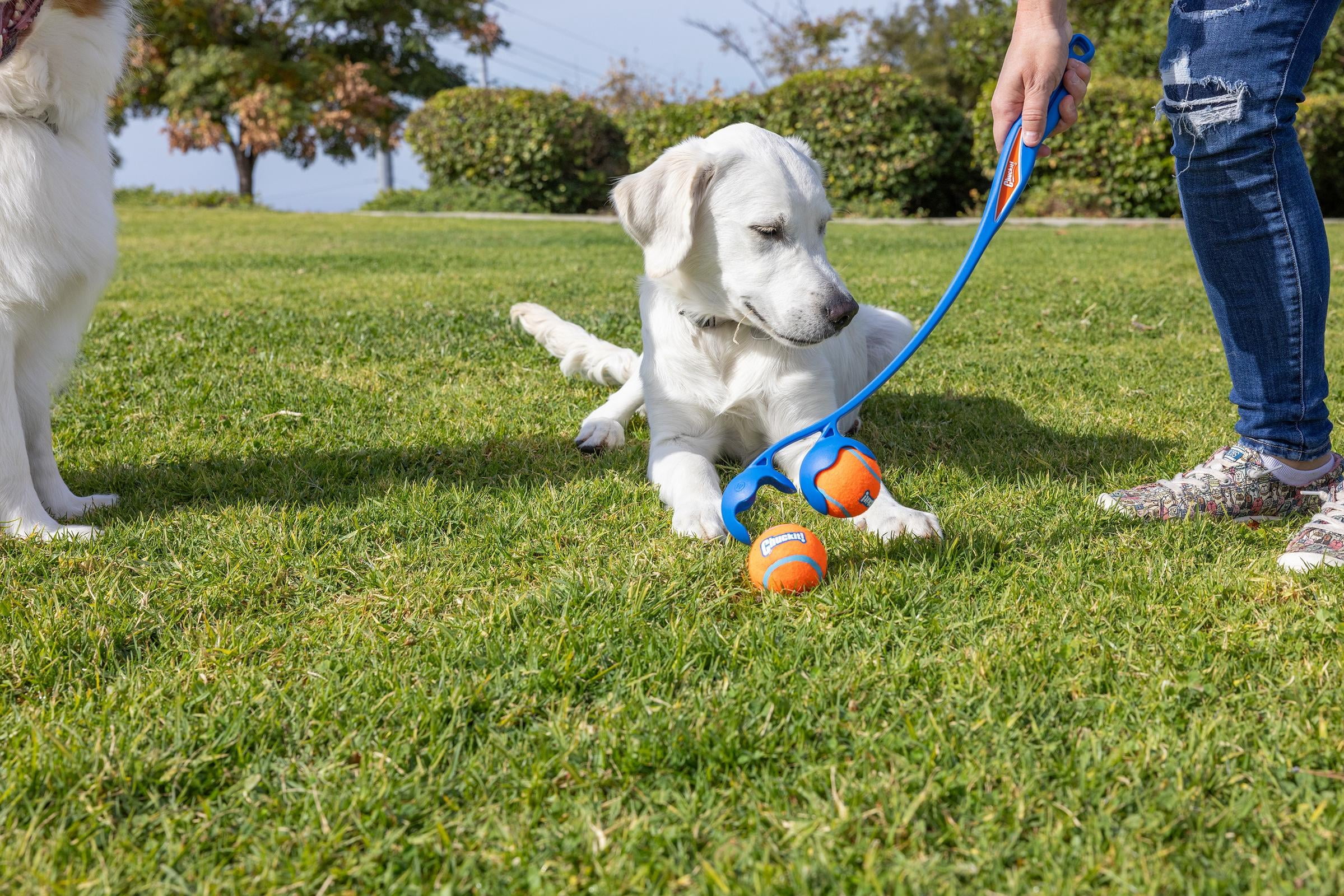 Chuckit! Duo 22M Double Dog Ball Launcher Fetch Toy for Dogs, 22" Length, Compatible with Medium 2.5" Balls (2 Balls Included)