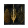 thumbnail image 2 of Trademark Fine Art "Fallen Gold I" Canvas Art by Color Bakery, 2 of 4