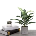 thumbnail image 3 of Injueey Verde Bajo en carbono Protección del medio ambiente Plantas artificiales Tortuga Hoja trasera Flores artificiales Decoración, 3 of 6