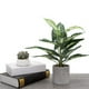 thumbnail image 3 of Advancent Plenitud tridimensional en plantas artificiales en maceta verde con patrones claros plantas artificiales Decoración, 3 of 6
