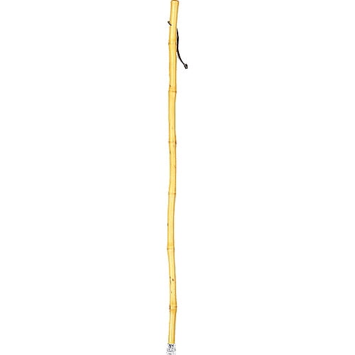 Brazos 58" Free Form Iron Bamboo Walking Stick, Natural