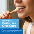 thumbnail image 2 of Palitos de miswak orgánicos Imako para limpieza dental, paquete de 10, 2 of 7