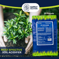 thumbnail image 4 of Supply Solutions Ammonium Sulfate Plant Food - Ideal for Winter Fertilizer - for Deep Green Plants Acid Loving Plants (25 Pounds), 4 of 9