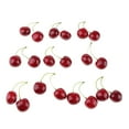 thumbnail image 1 of Abbracc Colorful Simulation Fruit Cherry 20 Capsules Large Double Black Large Double Black, 1 of 9