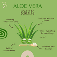 thumbnail image 4 of Aloe Vera Carrier Oil - 1 Gallon - Clear Plastic Jug w/ Cap - GreenHealth, 4 of 10