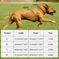 thumbnail image 4 of Pechera Arnés Para Perro Con Correa Y Reflectantes Seguridad, 4 of 8