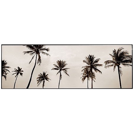 Trademark Art "Black & White Palms" Canvas Art by