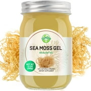 Sea Moss Gel, Organic Irish Seamoss Gel Immune and Digestive Support Vitamin Mineral Antioxidant Supplements,Original 12oz