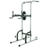 Gold's Gym XR 10.9 Power Tower with Push-Up, Pull-Up & Dip Stations