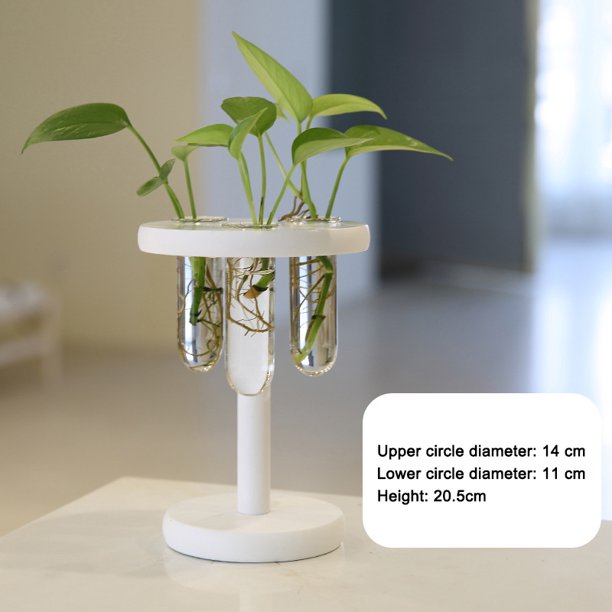 Glass Terrarium 3 Test Tube Vases with Round Wooden Stand Desktop