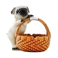 thumbnail image 2 of Almacenamiento llave Cesta de animales lindo Práctico Organizador de joyería de bandeja de almacenamiento de decoración para el hogar para pasillo de 16CMX14CMX16CM, 2 of 8