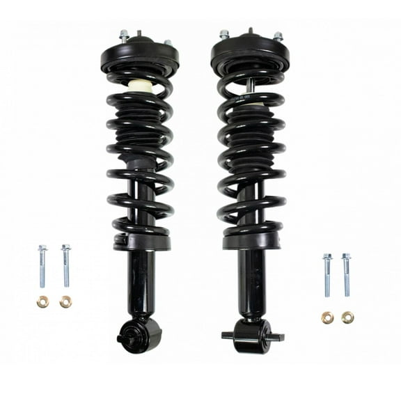 TRQ Front Complete Loaded Shock Strut Spring Assembly Pair for F150 RWD 2WD SCA71046