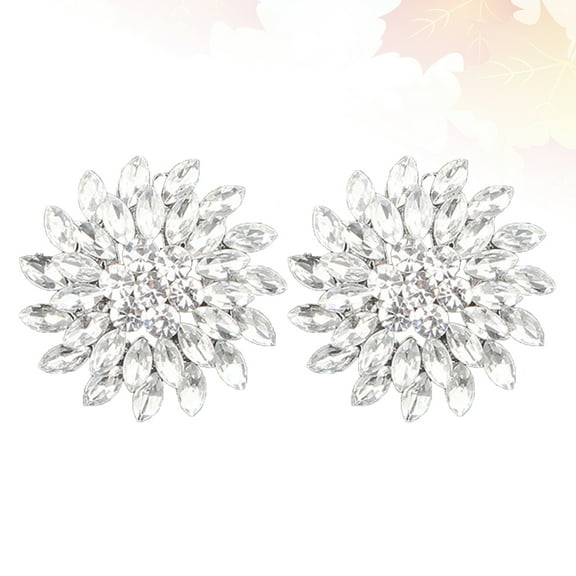 Raindrops 1 Pair Detachable Shoe Clips Decorations Silver Fashionable Alloy Decorative for Women Shoes Accessory