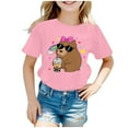 thumbnail image 4 of Chandails pour Filles, Chandails à Manches Courtes Imprimés pour Filles, Chandails d'Été Décontractés pour Filles, Vêtements pour Filles, Taille 3-4 Ans, 4 of 4