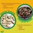 thumbnail image 5 of Shiitake Mushroom Snack Variety Bundle - Original, Wasabi, Spicy, & Sea Salt - Non-GMO, Vegan - Pack of 4, 5 of 5