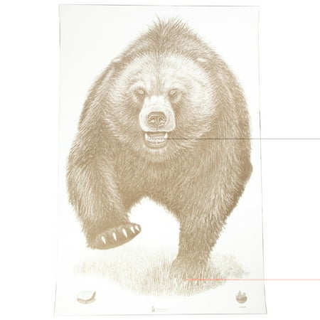 Action Target Alaska State Parks Bear Target 23x35 100 Pack ASP-BB-100