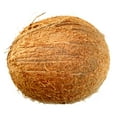 thumbnail image 3 of CafePress - Coconut Maternity T Shirt - Cotton Maternity T-shirt, Cute & Funny Pregnancy Tee, 3 of 4