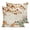 Beige, variant on Pillow Covers 20x20 Set of 2, Fall Green Orange Pumpkins Throw Pillow Covers Decorative Couch Cushion Cover, Maple Leaf Tree Thanksgiving Microfiber Soft Pillowcases for Bedroom Living Room Sofa