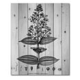 thumbnail image 3 of Designart 'Ancient American Flora VI' Traditional Print on Natural Pine Wood, 3 of 5