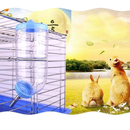 Porte-clés Souvenir Pour Poils D'animal - Lot De 4 Mini Bouteilles - Mémoire De Chat Ou Chien