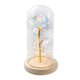 thumbnail image 1 of Enchanted Belleza romántica Flor Boda de Fanmusic Enchanted, 1 of 6
