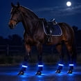 Clearance! LED Horse Light for Night Riding, Blue Horse Leg Light Band ...