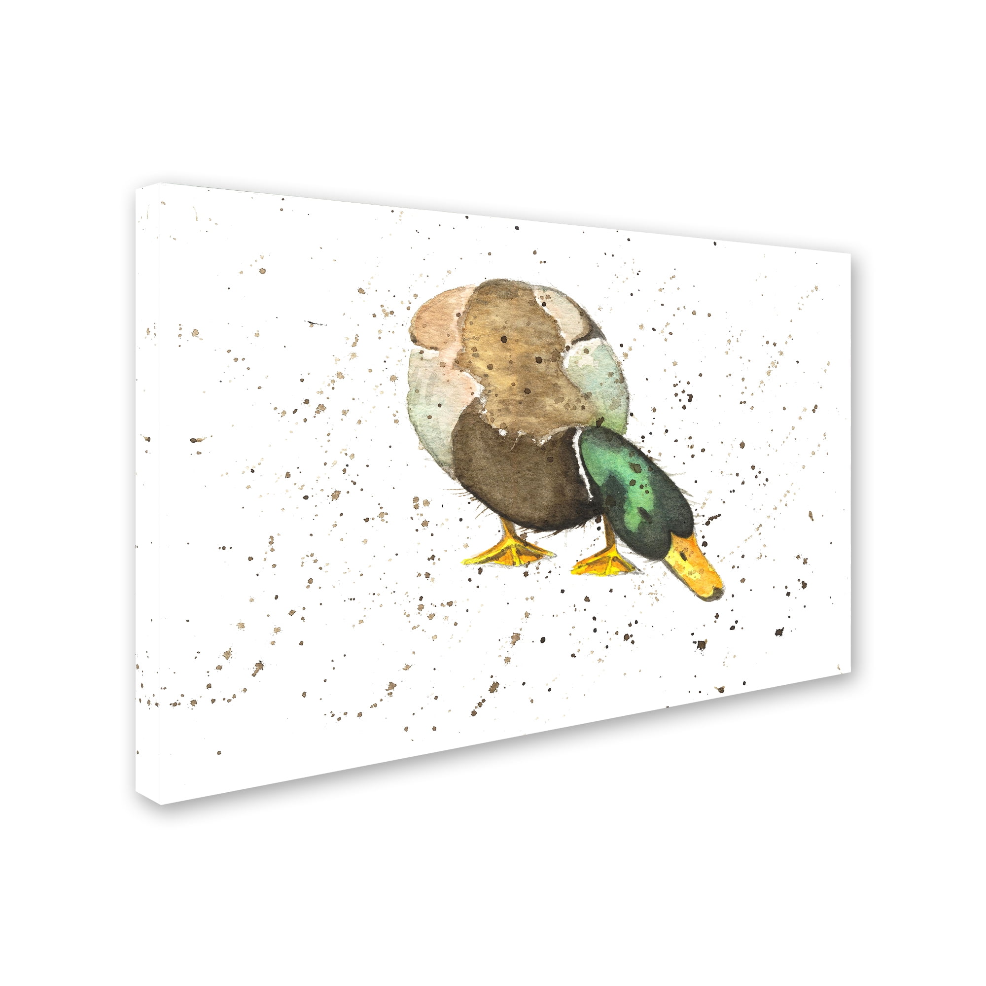 Trademark Fine Art 'Duck 4' Canvas Art by Michelle Campbell