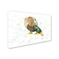 thumbnail image 2 of Trademark Fine Art 'Duck 4' Canvas Art by Michelle Campbell, 2 of 3