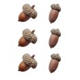 thumbnail image 1 of 6pcs Natural Acorns Dried Flowers Room Decoration Photography Props Table Decor, 1 of 8