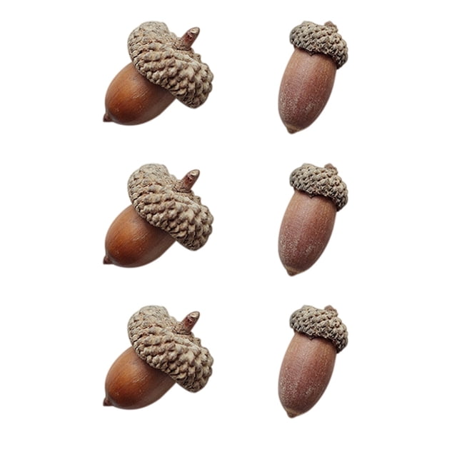 6pcs Natural Acorns Dried Flowers Room Decoration Photography Props Table Decor