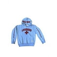 thumbnail image 2 of LIFEGUARD Official Kids Pullover Hoodie Grey Small, 2 of 2