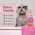thumbnail image 3 of Hartz Groomer's Best Conditioning Shampoo, 18 Fl Oz, 3 of 7
