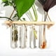 thumbnail image 2 of 4 jarrones de vidrio con forma de tubo de ensayo hidropónico para plantas de terrario pequeñas, decoración para el hogar y la oficina., 2 of 6