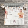 thumbnail image 3 of Ambesonne Human Anatomy Quilted Bedspread Set 3 Pcs, Organs Body Structure, King Size, White and Multicolor, 3 of 3