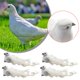 thumbnail image 5 of EchoBliss Paquete De 4 Palomas Artificiales Palomas De Espuma Palomas De La Paz Para La Boda Decorativo, 5 of 10