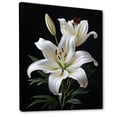 thumbnail image 2 of Designart "Lily Exquisite Black White wall decor II" Floral Floater Framed Canvas Print, 2 of 7