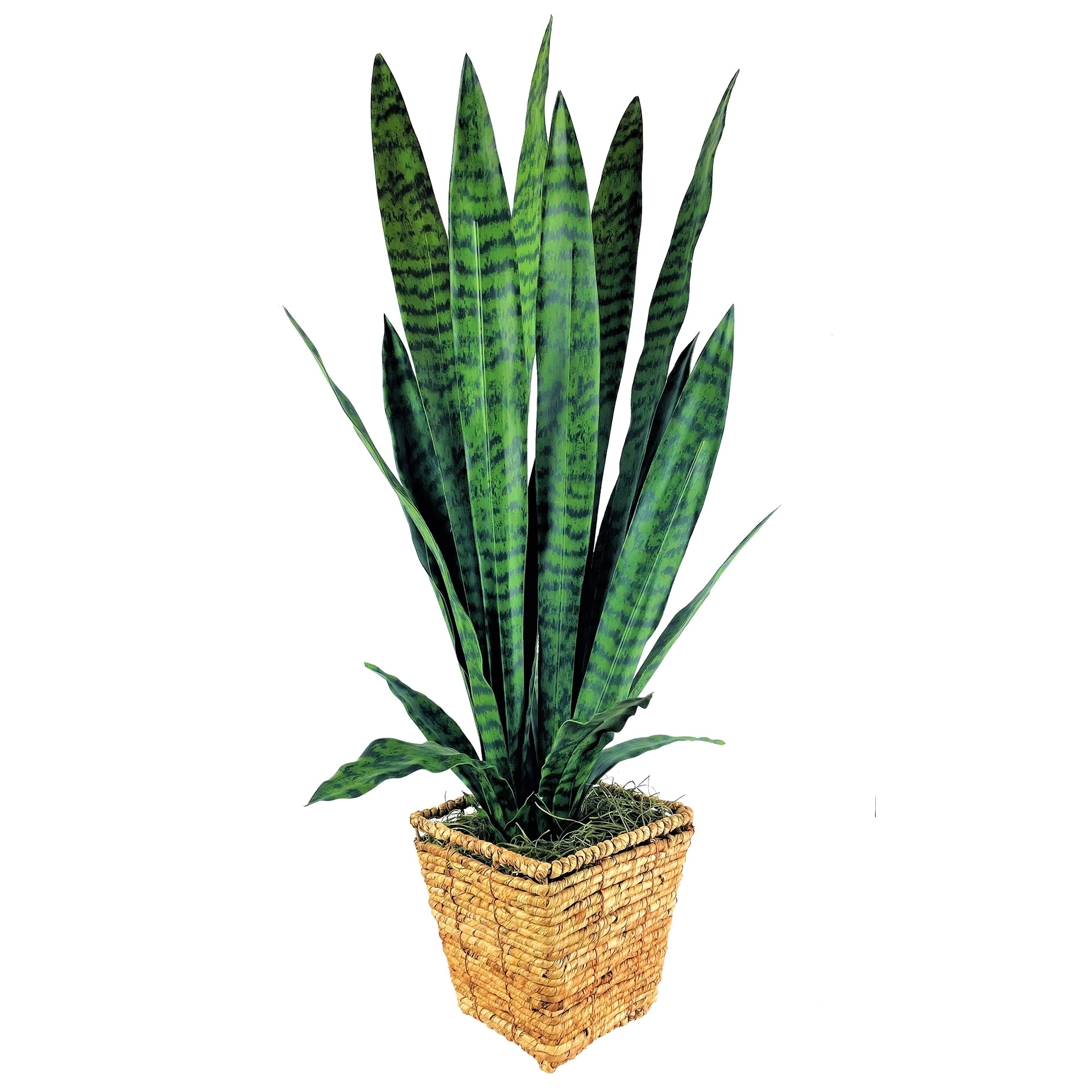 LCG Florals Artificial Plant, Snake Plant, 3.17 ft, Square Handwoven Basket