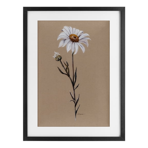 Stupell Industries Shabby Chic Daisy Sprout on Tan Black Framed Print Under Glass, 14 x 20, by Cady Driver