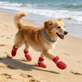 thumbnail image 5 of Dog Boots For Hot Pavement Summer Breathable Soft Mesh Paw Protectors Puppy Small Medium Large Shoes With Adjustable Safe Reflective Strap And Rugged Anti-Slip Sole Hiking Running Pet Accessories, 5 of 7
