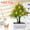 1PC, variant on KOYPTL 1/2/3 Pcs Artificial Bonsai Tree Juniper Faux Plants Indoor Small Fake Plants Decor with Pots for Home Table Office Desk Bathroom Shelf Bedroom Living Room Farmhouse Decorations