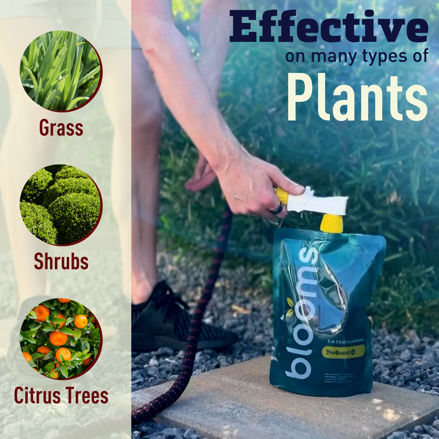 Harris Seeds - Blooms BioBoost+ Concentrated Liquid Lawn Fertilizer Covers Up to 6,000 Sq. Ft.