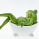 thumbnail image 5 of Moyic Figuritas de ranas para bañera, adorno multifuncional bonito, decoración para el hogar en miniatura delicada a la moda simulada Decoración del hogar FR-69070 1 Moyic HA077476-01, 5 of 6